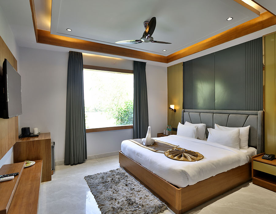 Luxury Room View